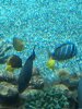 IMG_0491.JPG