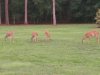 20170617_201447-800x600.jpg