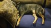 20170618_203849.jpeg
