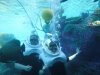 Discovery Cove alice & davy coral.jpg Discovery Cove alice & davy coral.jpg