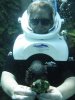 Discovery Cove alice slimy.jpg