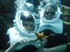 Discovery Cove alice & davy starfish.jpg