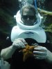 Discovery Cove alice starfish.jpg