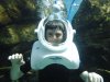 Discovery Cove davy waving.jpg