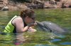 Discovery Cove alice & cindy dolphin kissing.jpg