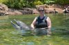 Discovery Cove alice & cindy dolphin.jpg