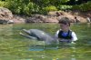 Discovery Cove davy & cindy dolphin 2.jpg