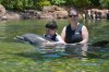 Discovery Cove davy & alice & cindy dolphin.jpg