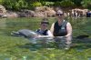 Discovery Cove davy & alice & cindy dolphin 2.jpg