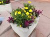 Epcot flowers 5.JPG