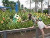 Christin about to sample the candy corn crop.jpg