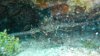 DSCN0178_011.JPG