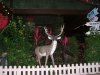 DSCF0752.JPG