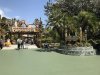 IMG_7904.jpg