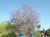 DSCF4514.JPG