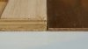 20170625_150913.jpeg