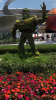 IMG_2817.PNG