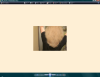 upload_2017-6-29_12-15-28.png