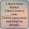 squirrels.jpg