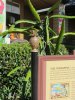 IMG_8365.JPG IMG_8365.JPG