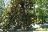 upload_2017-7-4_8-42-4.jpeg