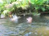 IMG_6070.JPG