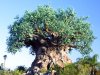 600-treeoflife.jpg