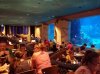 20160821_165621.jpg