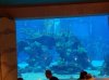 20160821_165628.jpg