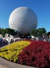 20160822_084106.jpg