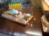 20160822_091328.jpg