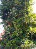 20160822_093048.jpg