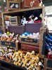 20160822_093417.jpg