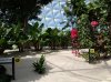 20160822_110520.jpg