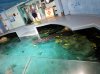 20160822_114733.jpg