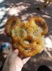 20160822_120513.jpg