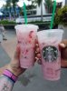20160822_132503.jpg
