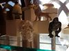 20160822_170552.jpg