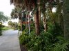 20160822_195316.jpg