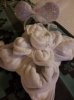 20160822_205514.jpg