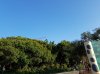 20160823_081127.jpg