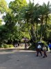 20160823_084137.jpg