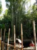 20160823_084213.jpg