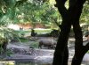 20160823_092446.jpg