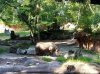 20160823_092450.jpg