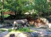 20160823_092454.jpg