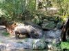 20160823_092500.jpg