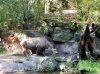 20160823_092502.jpg