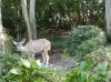 20160823_092515.jpg