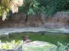 20160823_092633.jpg